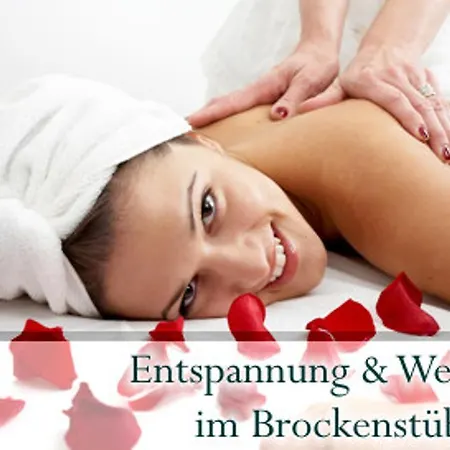 فندق Brockenstuebchen 3*