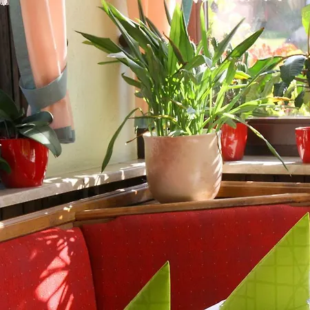 Szálloda Brockenstuebchen 3*