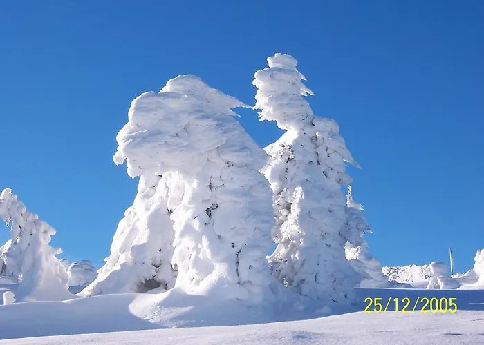 Brockenstuebchen Hotel Schierke